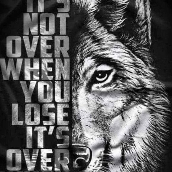 Meet your Posher, Travis - Picture 1 of 1